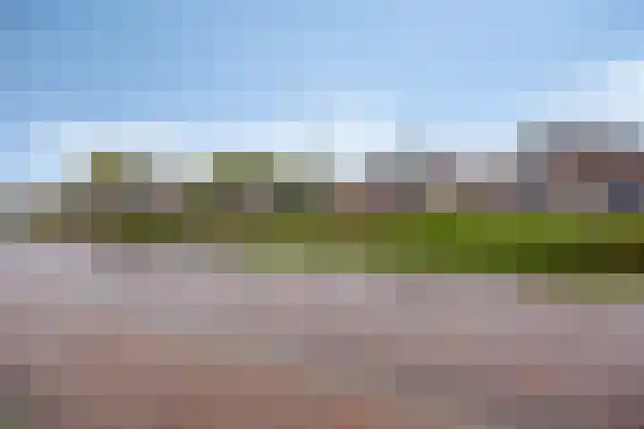 Vaart Nz 78 Appelscha thumbnail 4