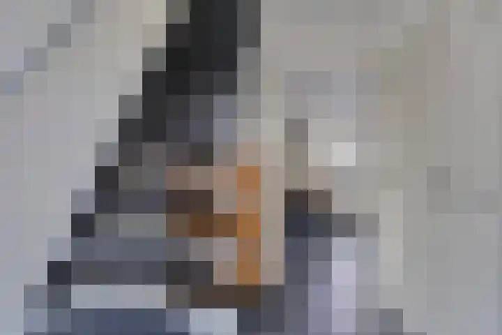 Vaart Nz 78 Appelscha thumbnail 6