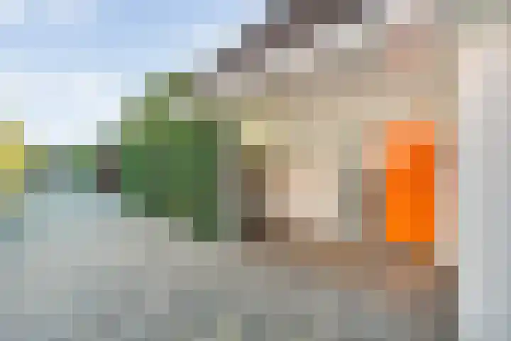 Vaart Nz 91 Appelscha thumbnail 11