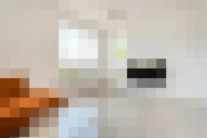 Vaart Nz 91 Appelscha thumbnail 19