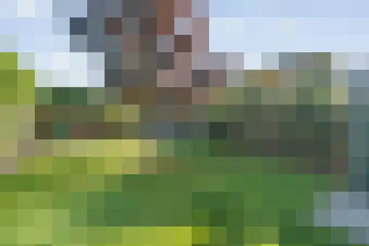 Vaart Nz 91 Appelscha foto 3