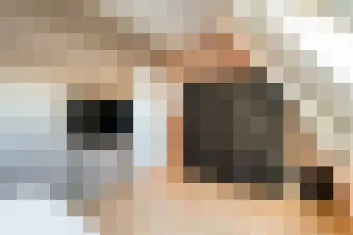 Vaart Nz 91 Appelscha thumbnail 36