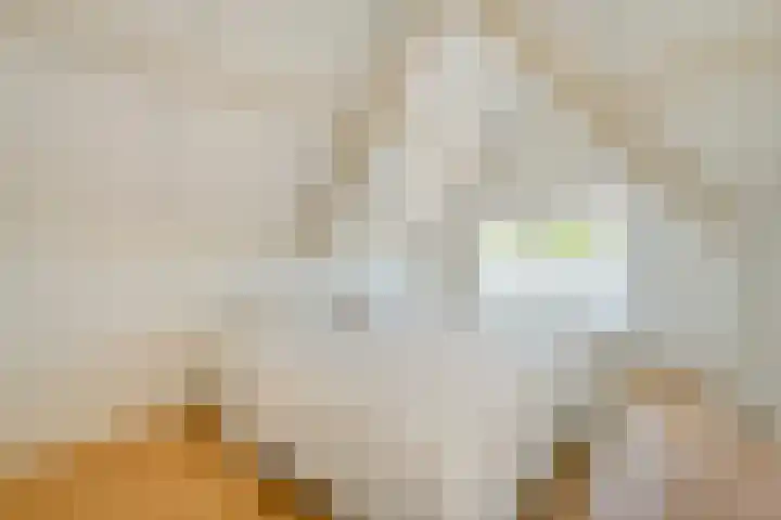 Vaart Nz 91 Appelscha thumbnail 37