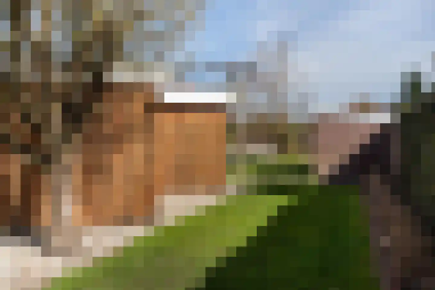 Vaart Nz 91 Appelscha thumbnail 39