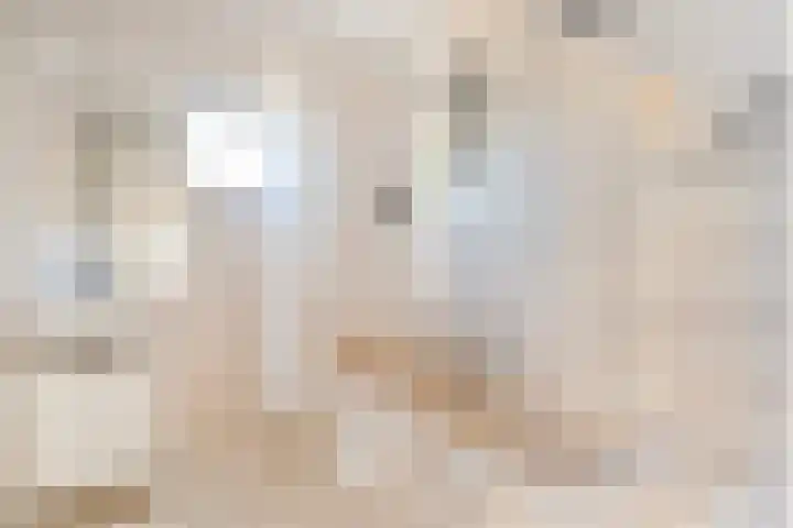 Vaart Nz 91 Appelscha thumbnail 39