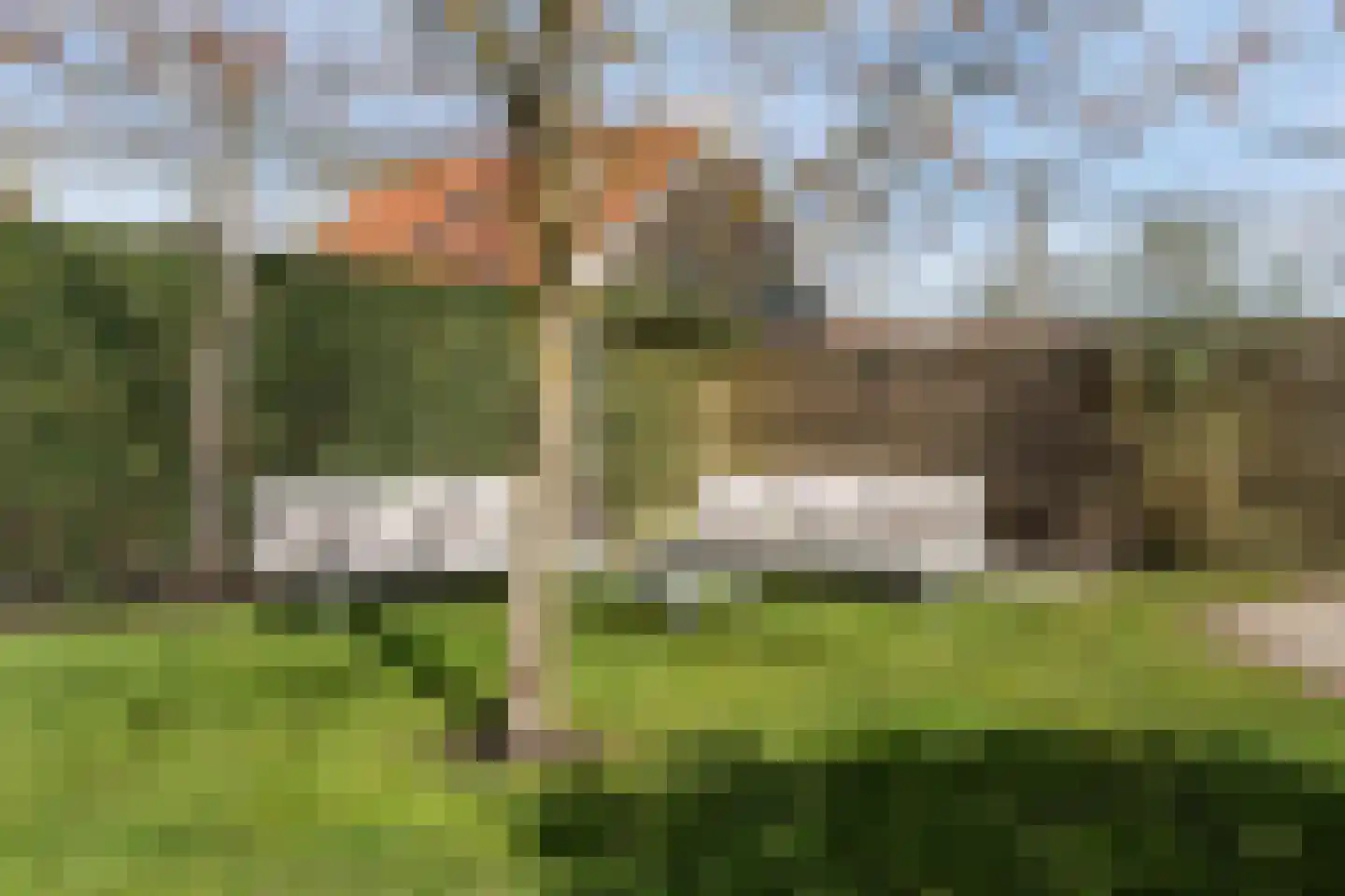Vaart Nz 91 Appelscha thumbnail 42