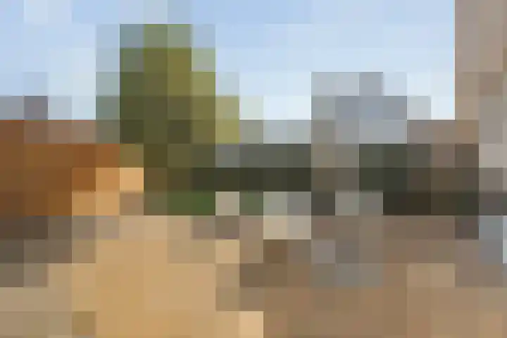 Vaart Nz 91 Appelscha thumbnail 42