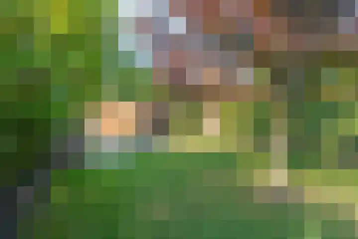 Vaart Nz 91 Appelscha thumbnail 44