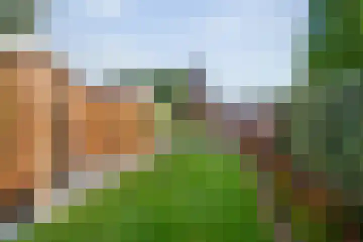 Vaart Nz 91 Appelscha thumbnail 45