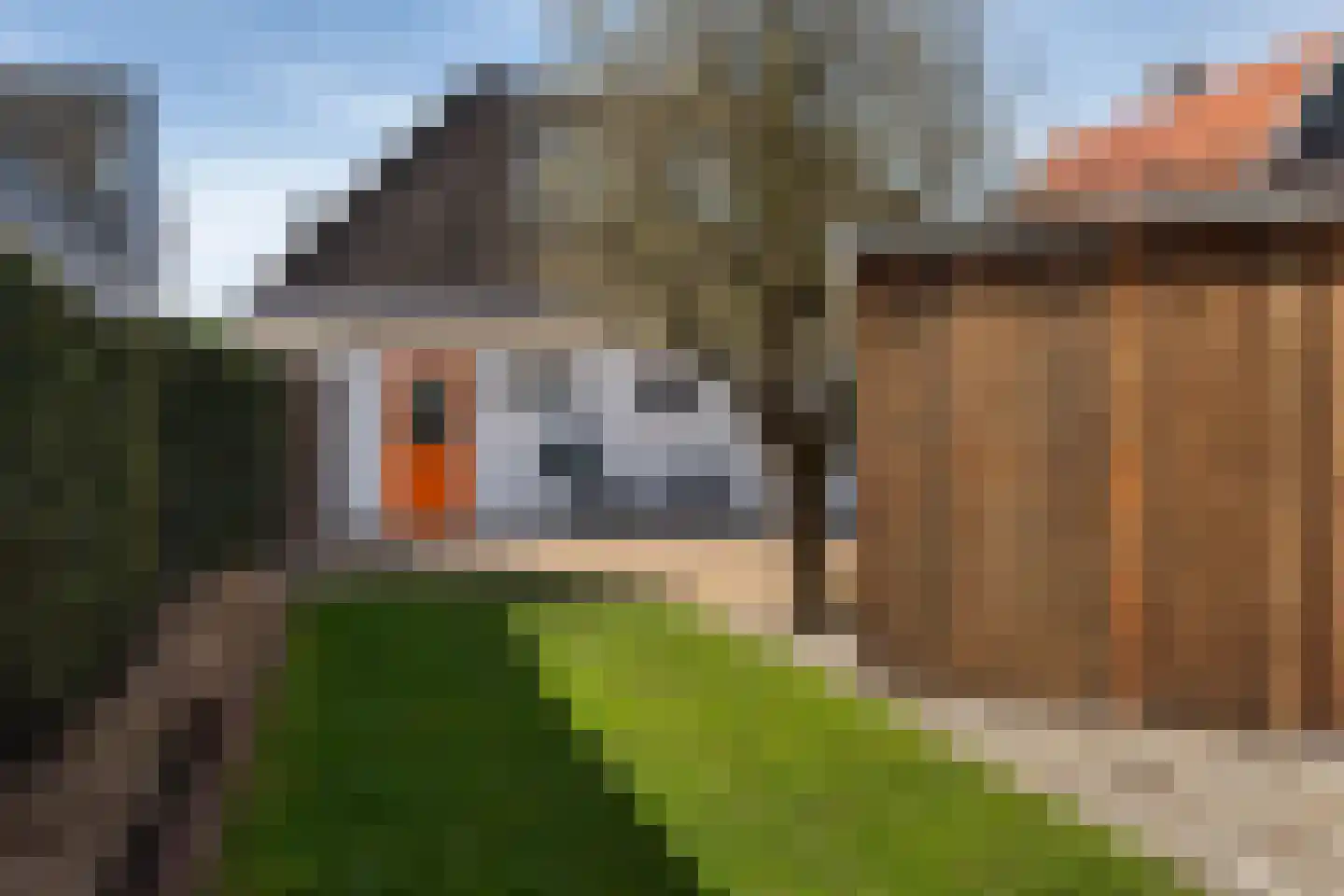 Vaart Nz 91 Appelscha thumbnail 46