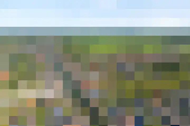 Vaart Nz 91 Appelscha thumbnail 48