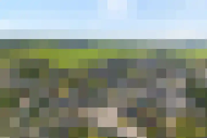 Vaart Nz 91 Appelscha thumbnail 5