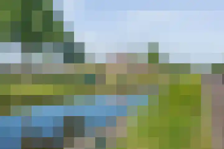 Vaart Nz 91 Appelscha thumbnail 9