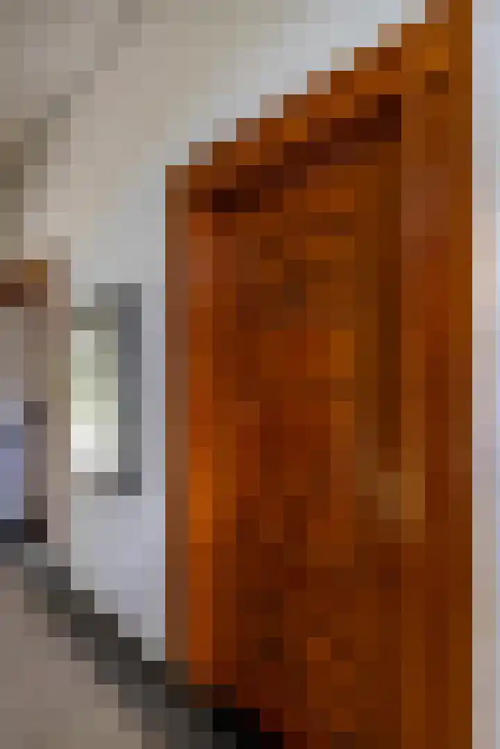 Vaart Westzijde 6 Warfhuizen thumbnail 17