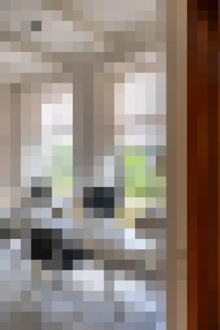 Vaart Westzijde 6 Warfhuizen thumbnail 18