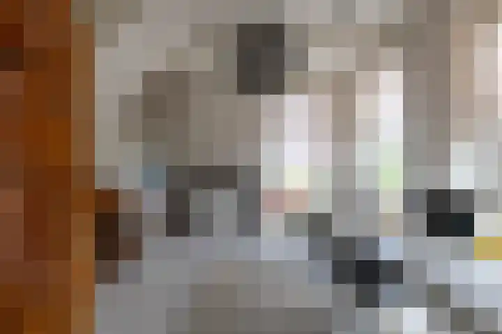 Vaart Westzijde 6 Warfhuizen thumbnail 19