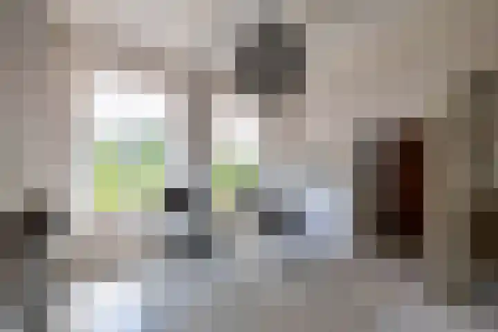 Vaart Westzijde 6 Warfhuizen thumbnail 20