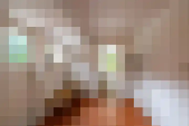 Vaart Westzijde 6 Warfhuizen thumbnail 22