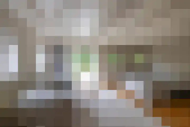Vaart Westzijde 6 Warfhuizen thumbnail 23