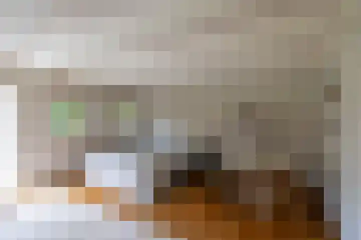 Vaart Westzijde 6 Warfhuizen thumbnail 24