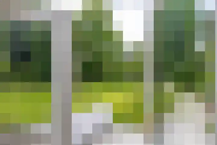 Vaart Westzijde 6 Warfhuizen thumbnail 25