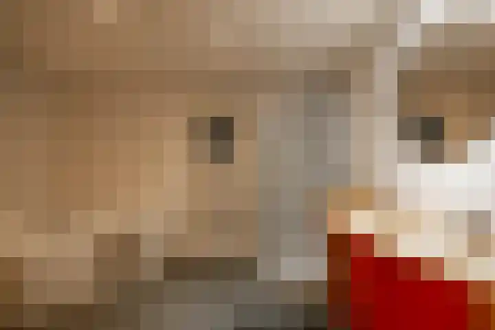 Vaart Westzijde 6 Warfhuizen thumbnail 29