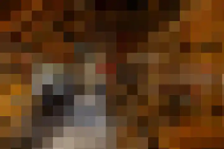 Vaart Westzijde 6 Warfhuizen thumbnail 33