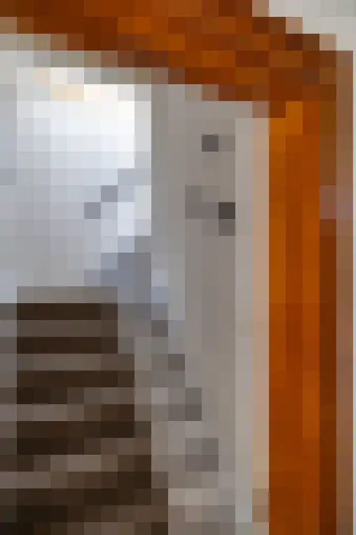 Vaart Westzijde 6 Warfhuizen thumbnail 34