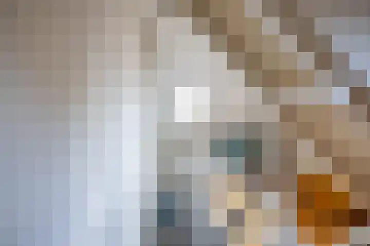 Vaart Westzijde 6 Warfhuizen thumbnail 37