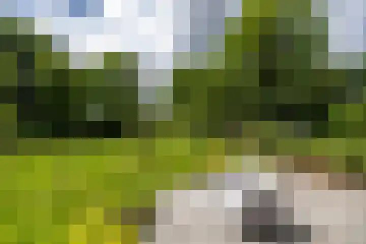 Vaart Westzijde 6 Warfhuizen thumbnail 45