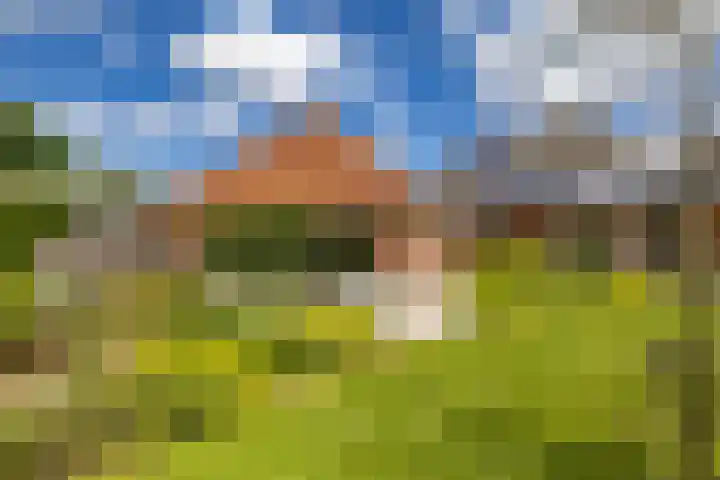 Vaart Westzijde 6 Warfhuizen thumbnail 46