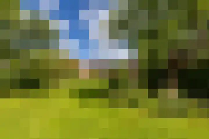Vaart Westzijde 6 Warfhuizen thumbnail 47
