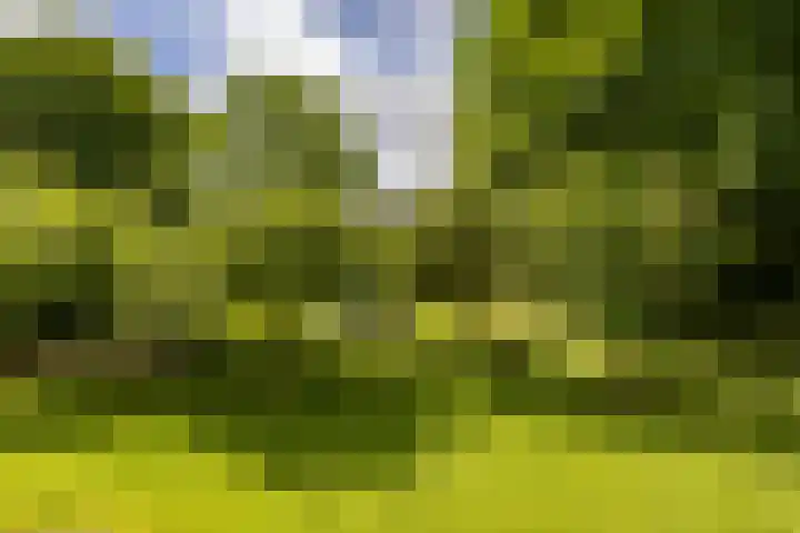 Vaart Westzijde 6 Warfhuizen thumbnail 48