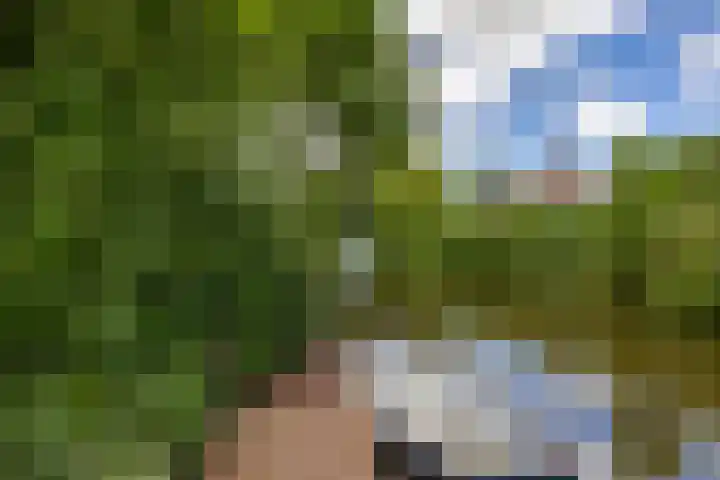 Vaart Westzijde 6 Warfhuizen thumbnail 49