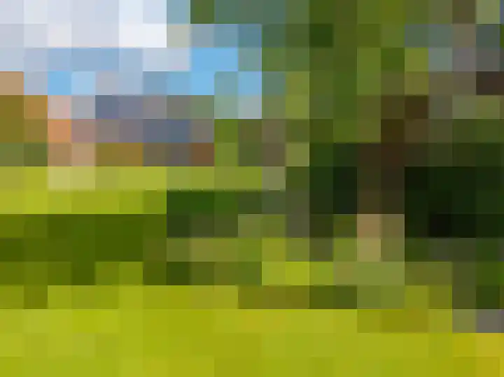 Vaart Westzijde 6 Warfhuizen thumbnail 50
