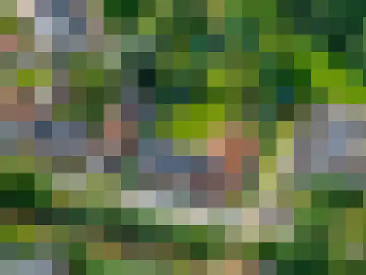 Vaart Westzijde 6 Warfhuizen thumbnail 51