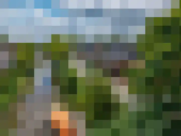 Vaart Westzijde 6 Warfhuizen thumbnail 52