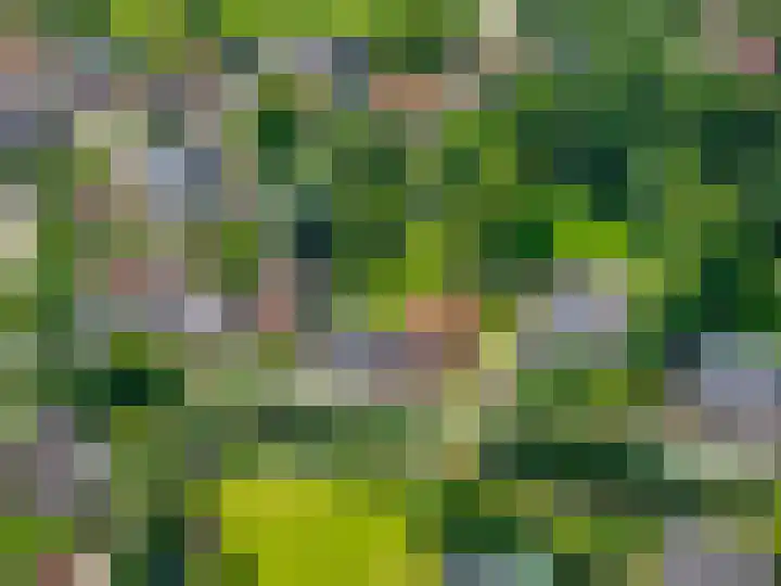 Vaart Westzijde 6 Warfhuizen thumbnail 53