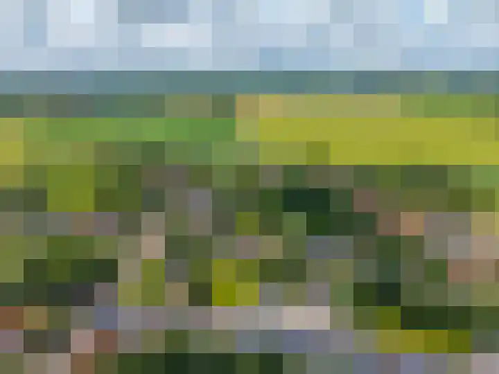 Vaart Westzijde 6 Warfhuizen thumbnail 54