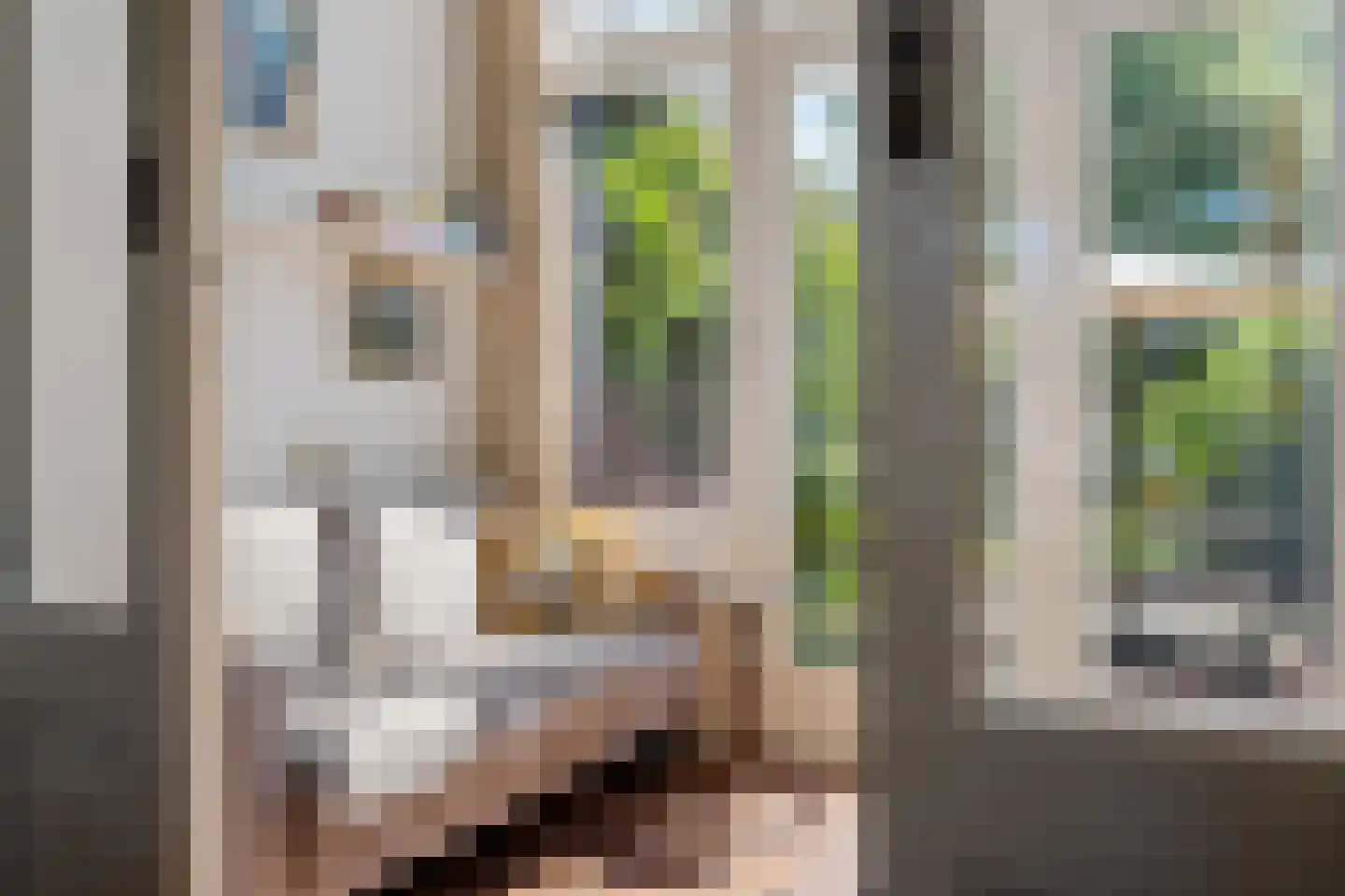 Vaart Z.Z. 123 Assen thumbnail 15