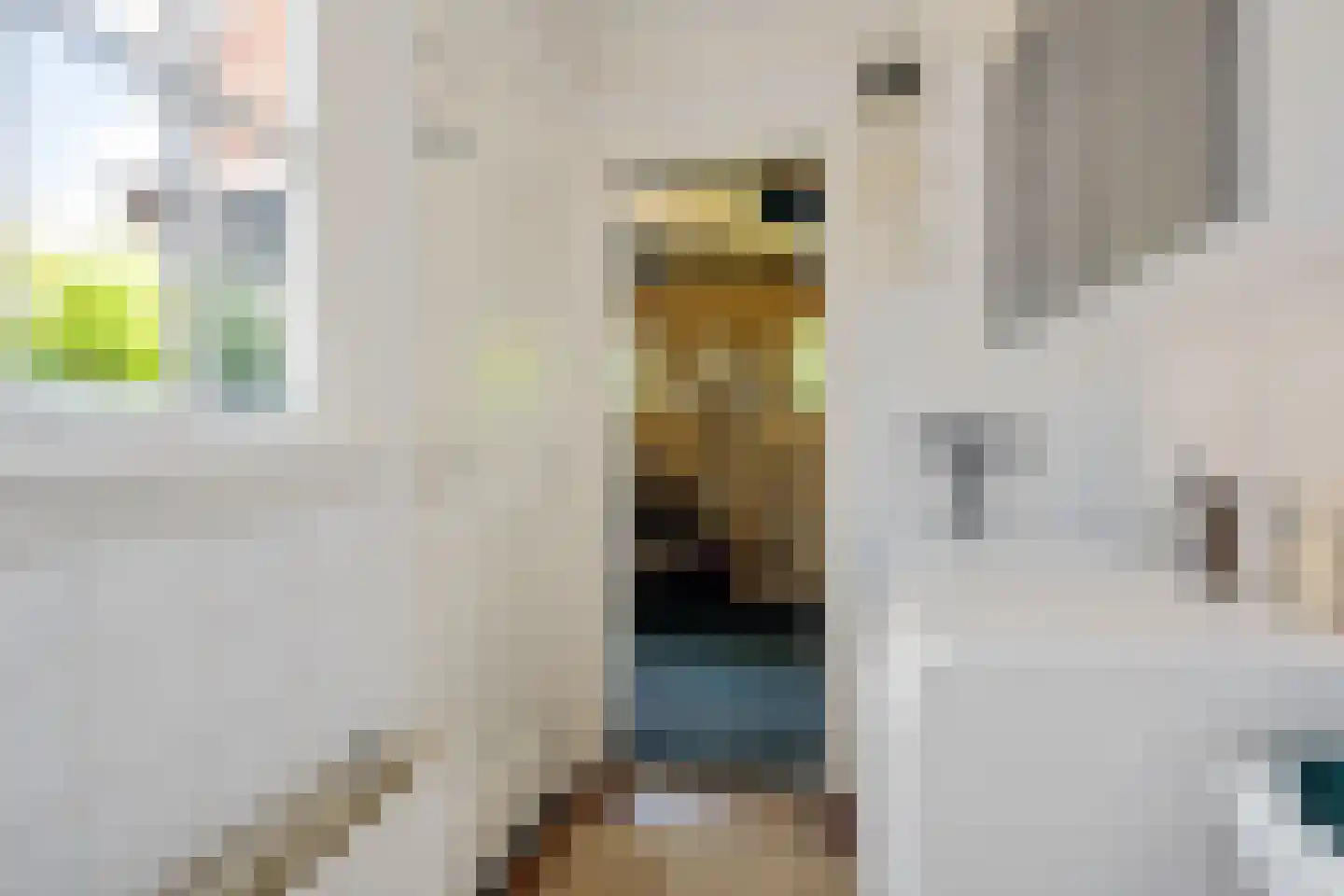 Vaart Z.Z. 123 Assen thumbnail 27