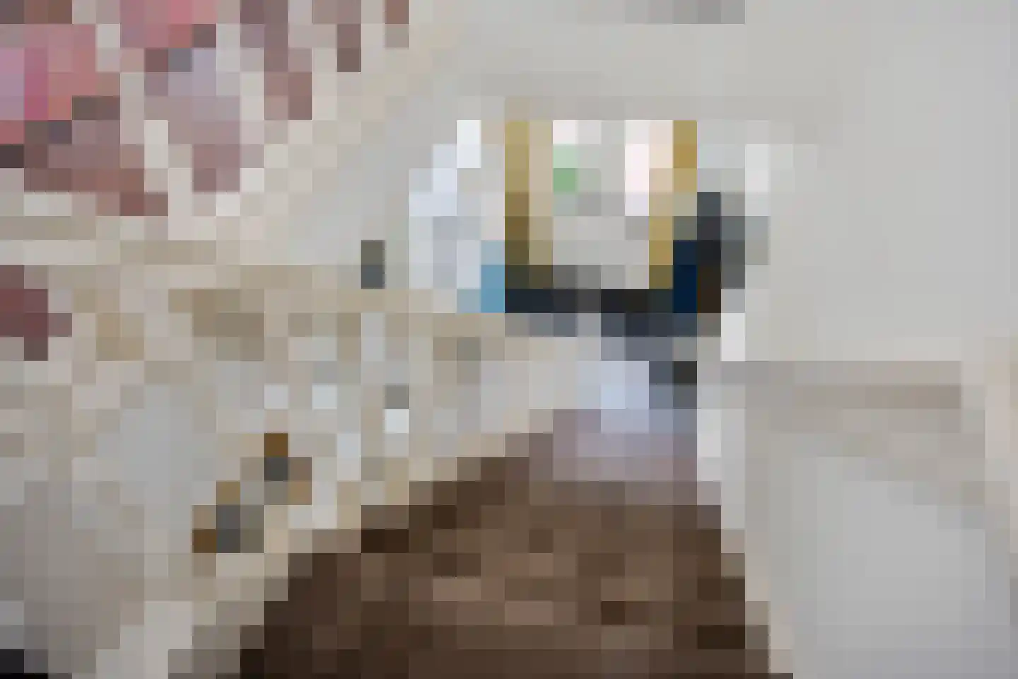 Vaart Z.Z. 123 Assen thumbnail 29
