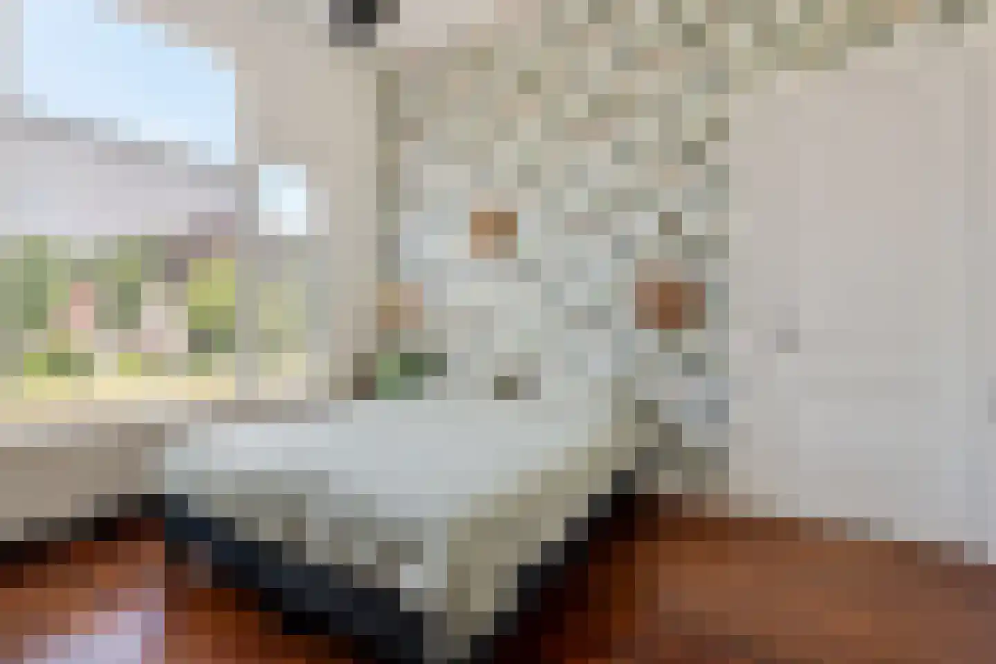 Vaart Z.Z. 123 Assen thumbnail 35