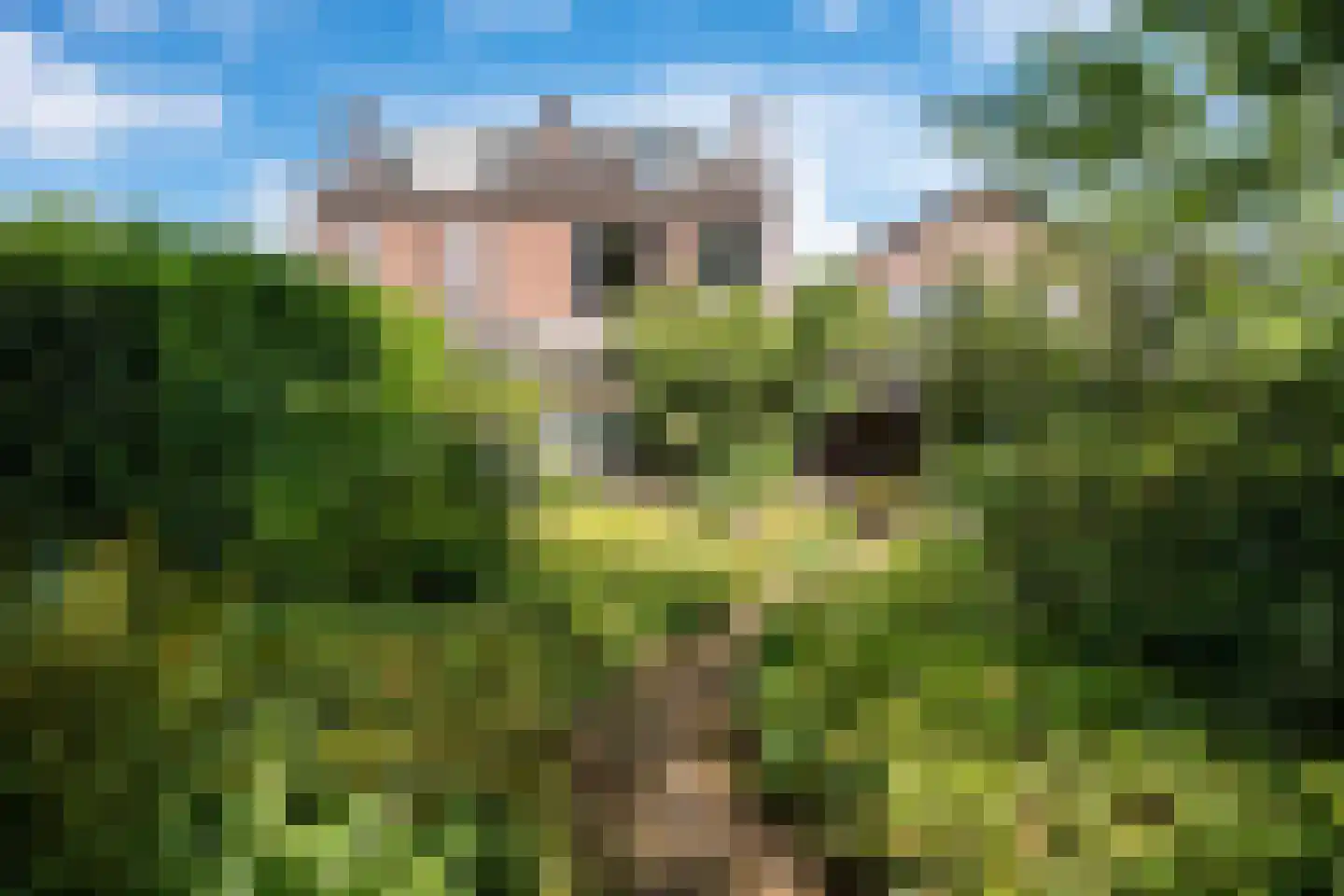 Vaart Z.Z. 123 Assen thumbnail 45