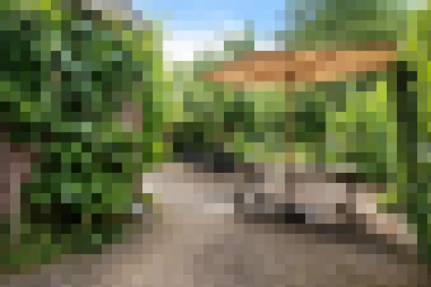 Vaart Z.Z. 123 Assen thumbnail 47