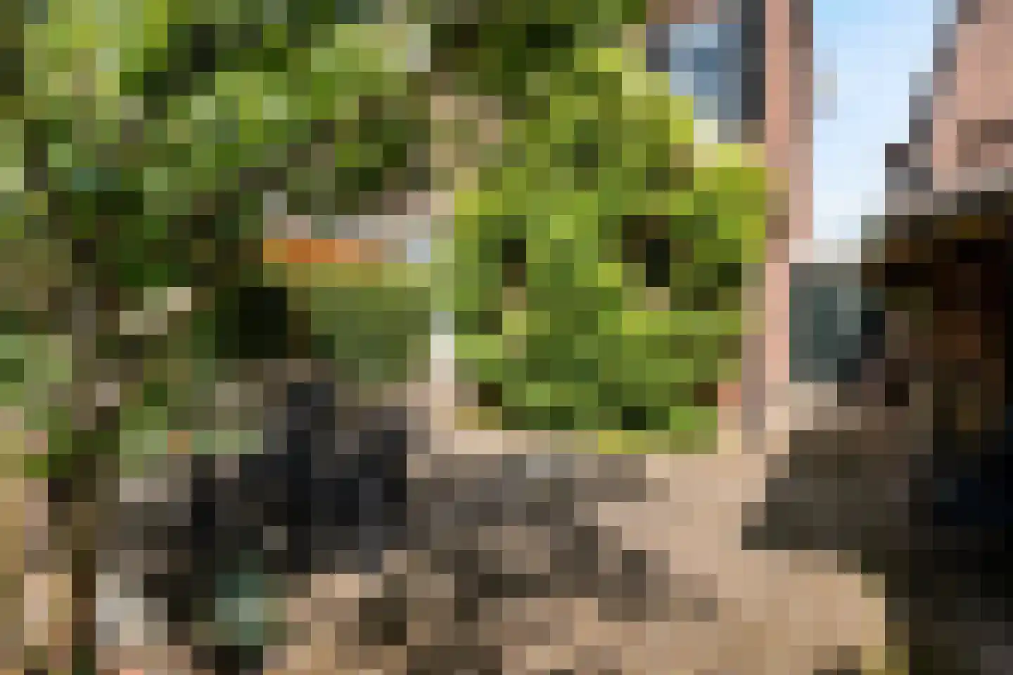 Vaart Z.Z. 123 Assen thumbnail 48