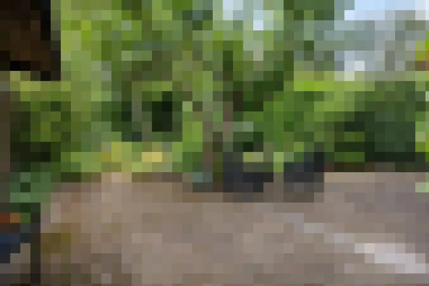Vaart Z.Z. 123 Assen thumbnail 49