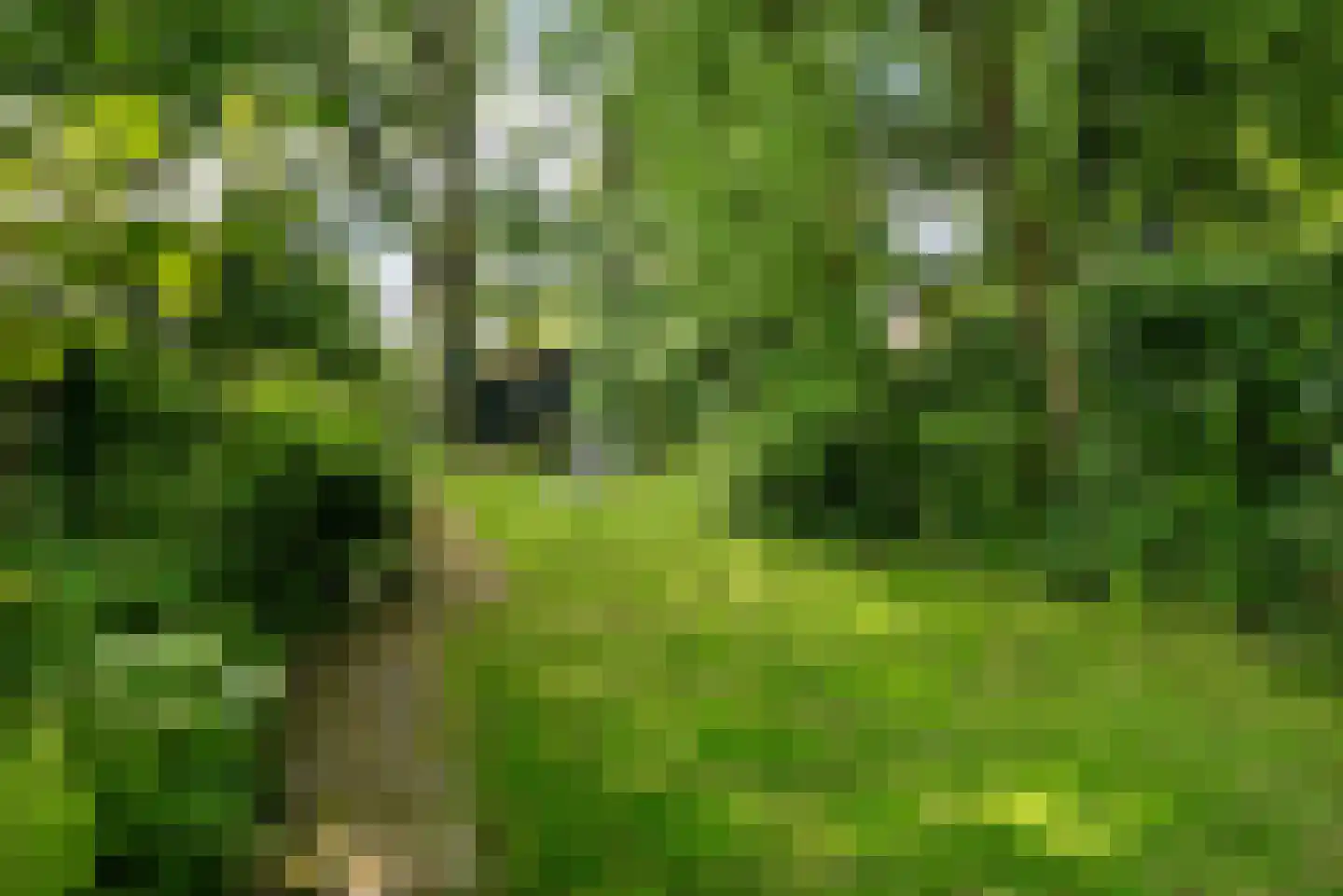 Vaart Z.Z. 123 Assen thumbnail 5