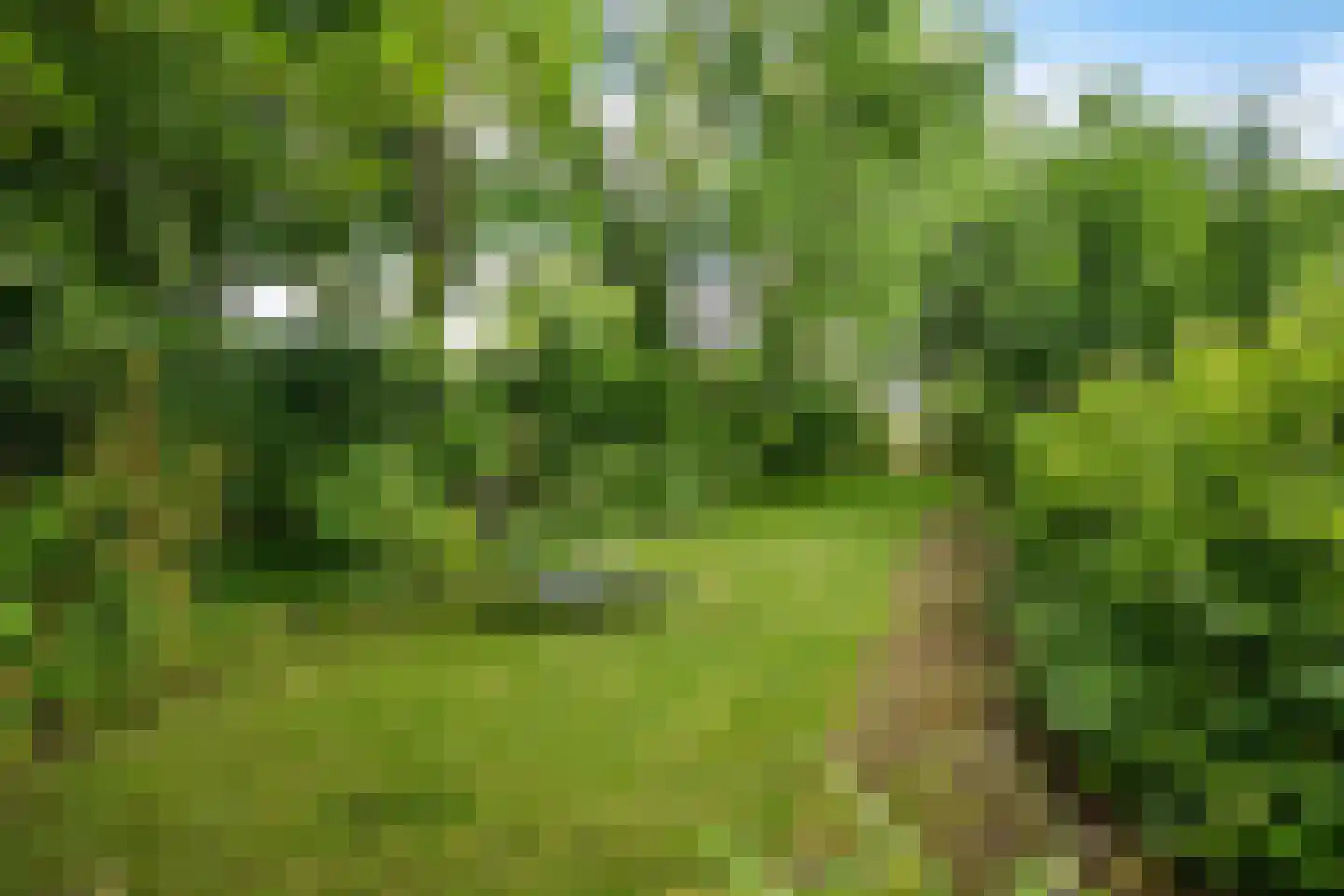 Vaart Z.Z. 123 Assen thumbnail 50