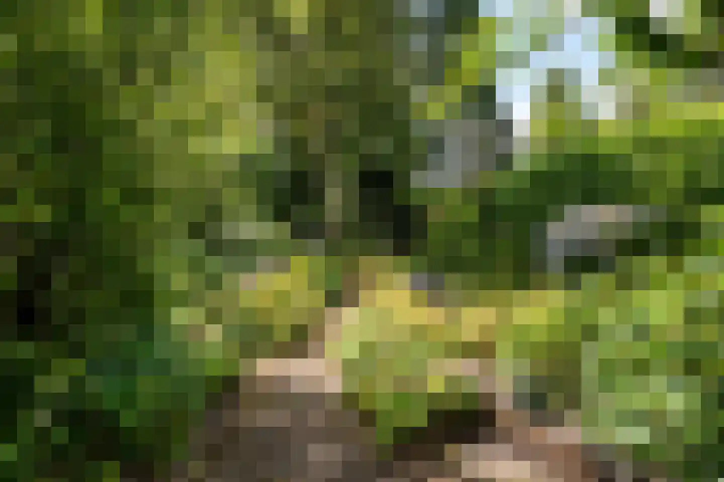 Vaart Z.Z. 123 Assen thumbnail 51